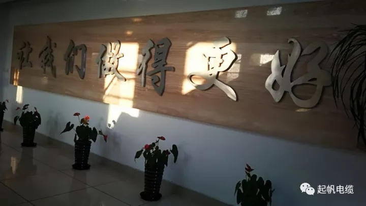 第六届金山区区长质量奖公布，尊龙凯时人生就是搏电缆周供华榜上有名